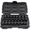 Picture of Hex Bit Socket Set: 1/2" Drive, 16 Pc, 1/4 to 3/4" Hex