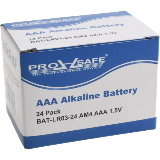 Picture of Pack of 24 Size AAA